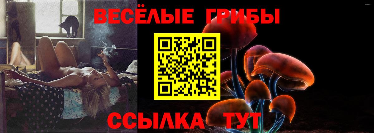 Псилоцибиновые грибы прущие грибы  Вход с VPN  где найти   Вышний Волочёк 